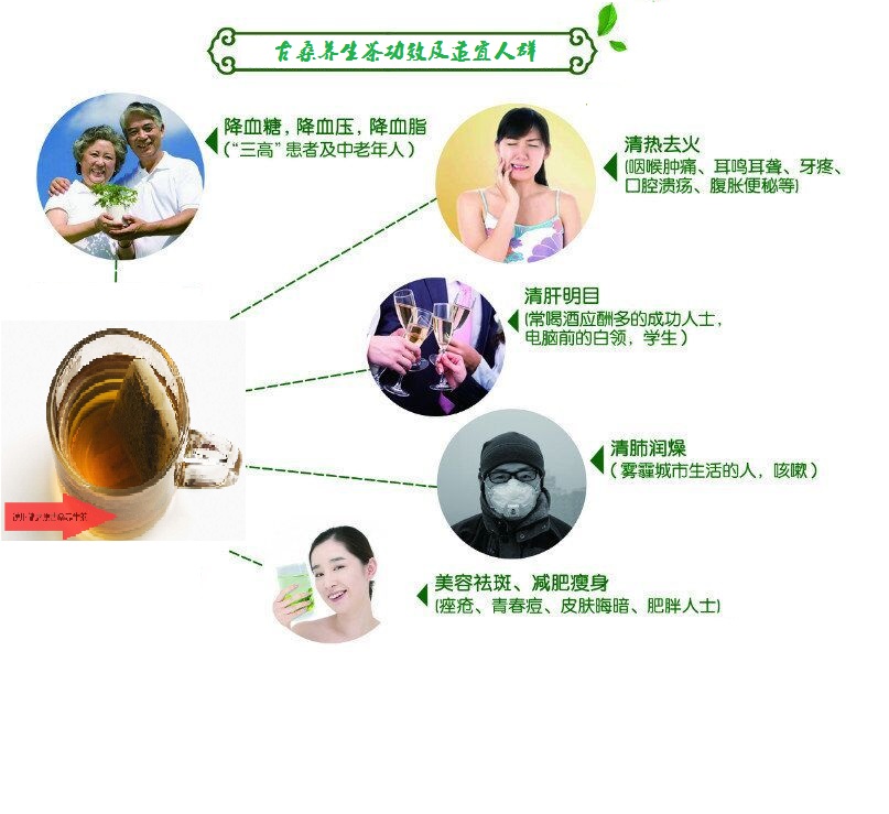 桑葉茶，營養長壽健康之茶